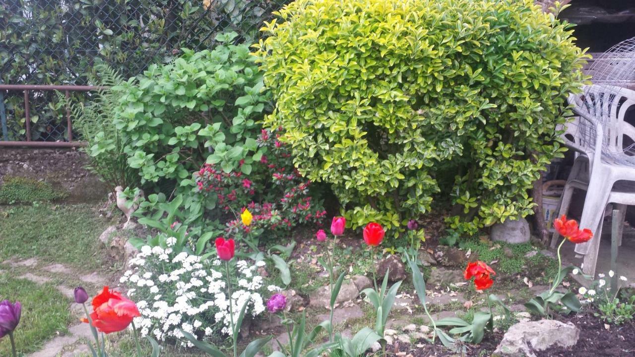 ברגמו B&B Il Patio מראה חיצוני תמונה